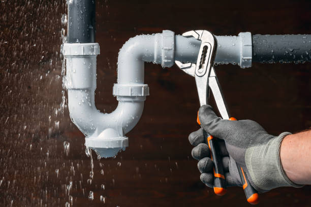 Professional Plumbing technician working in Dakota, IL